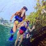 Tulum and Xel-Há All-Inclusive 1-day Guided Tour - The Practical Side: What You Need to Know