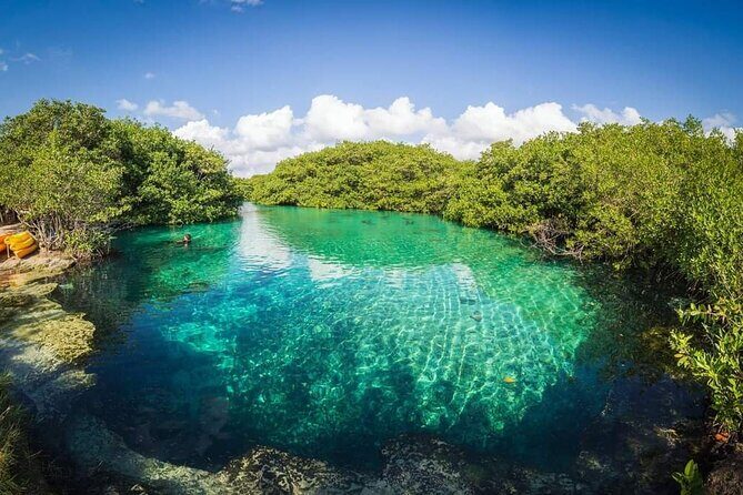 Tulum Area Experiences Guided Snorkeling Tour - Casa Cenote + Ocean Reef & Lunch - Insights from Traveler Experiences