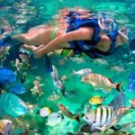 Tulum Coba Akumal Snorkel tour Premium Service Small Group - The Experience of Small Groups and Guided Exploration