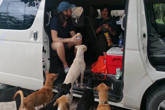 Tulum Private Transportation - The Itinerary and What to Expect