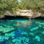 Tulum Ruins + Cenote Express - The Practicalities: What’s Worth Knowing