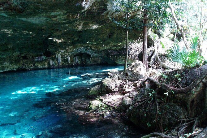 Tulum Wild Adventure Tour with ATV, Ziplining and Cenote - Who is this tour best suited for?