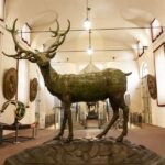 Turin: Stupinigi Royal Hunting Lodge Entry Ticket - Practicalities and Tips for Visiting