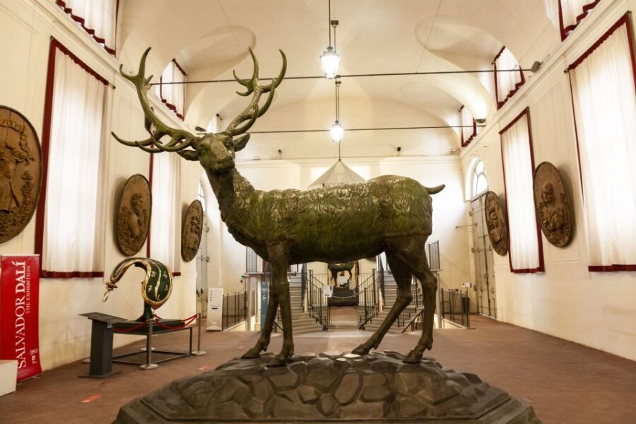 Turin: Stupinigi Royal Hunting Lodge Entry Ticket - Practicalities and Tips for Visiting