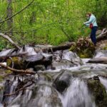 Turnagain Arm Highlights Photo Tour - What’s Included?