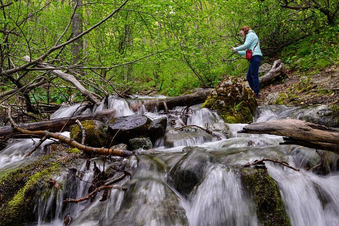 Turnagain Arm Highlights Photo Tour - What’s Included?