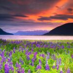 Turnagain Arm Tour - Who Should Consider This Tour?