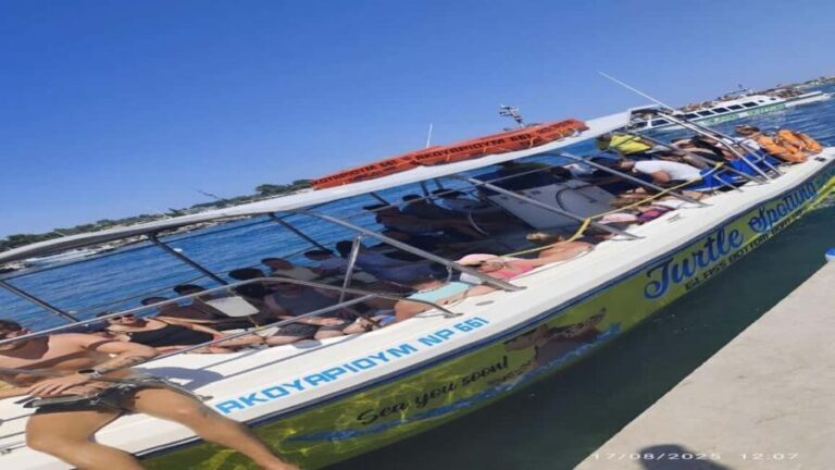 Turtle Cruise from 9 am or 12 noon or 3 pm for 3 hours - The Realities and Downsides