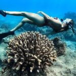 Turtle Gardens West Maui Snorkel Tour - What to Expect During the Tour