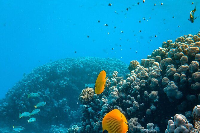 Turtle Town Snorkel with Photo and Video - The Value of All-Inclusive Equipment & Guidance