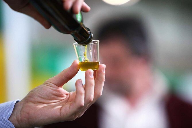 Tuscan ExtraVirgin Olive Oil Tour - Key Points