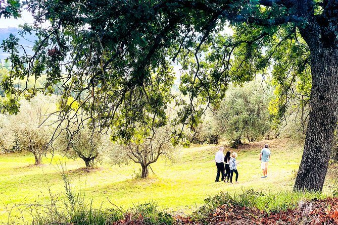 Tuscan picnic - Frequently Asked Questions