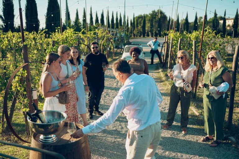 Tuscan Vineyard Dinner with Wine Tasting - Practical Considerations
