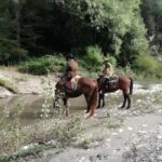 Tuscany: Horseback Riding Experience in Buonconvento - FAQ