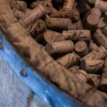 Tuscany: Immersive Winery + tasting (4 wines) - Final Thoughts