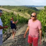 Tuscany: Olive Harvest, San Gimignano & Wine Tour - The Experience: Pros and Cons