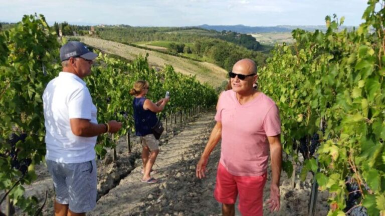 Tuscany: Olive Harvest, San Gimignano & Wine Tour - The Experience: Pros and Cons