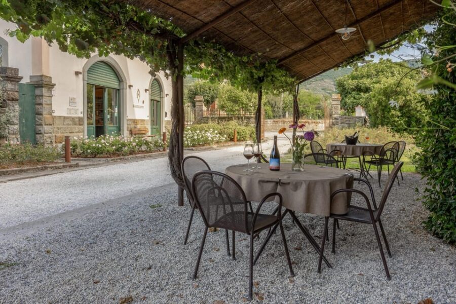 Tuscany: White Wine Tasting with Aperitivo at a Local Winery - The Wines and Food