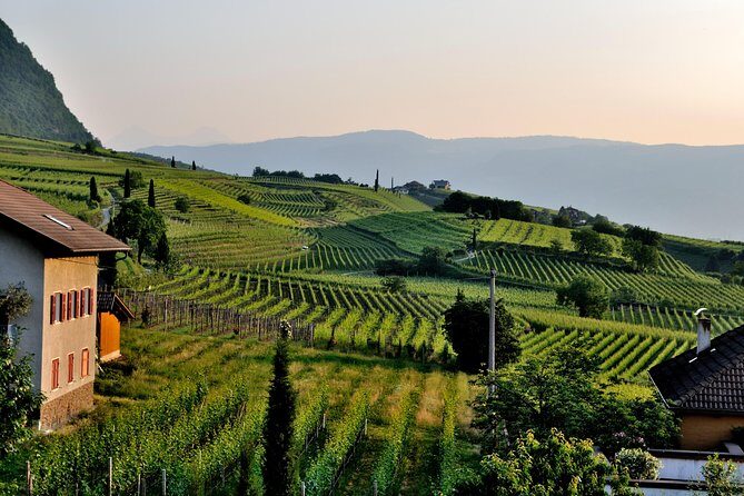 Tuscany Wine Tour from Rome with Private Driver - Who This Tour Is Perfect For