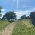 Tuscolo experience in ebike - What Makes This Tour Special?