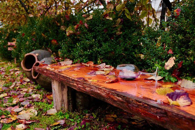 Two Days in Gorgeous Wine Region with Full board Meals and Tastings From Tbilisi - What Makes This Tour Stand Out?