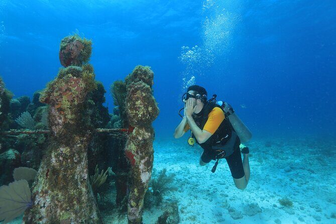Two Tanks Scuba Diving for Beginners in Cancun - The Experience for Different Types of Travelers