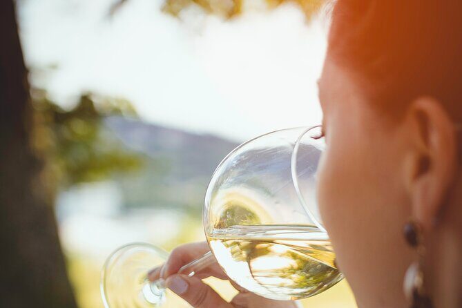 Two Wine Tastings and Visit to a Historic Cellar Inside Old Walls of Montalcino - A Closer Look at the Itinerary: What to Expect