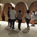 Two wineries tour with wine tasting - Final Thoughts: Is This the Tour for You?