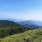 Uka Nature Park Private Hiking or Running Tour - Final Thoughts