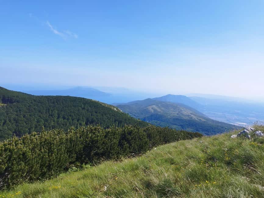 Uka Nature Park Private Hiking or Running Tour - Final Thoughts