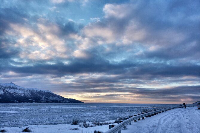 Ultimate Anchorage Winter Wildlife & Sunset Tour - Who Is This Tour Best For?