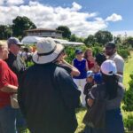 Ultimate Circle Island Explorer From Kona Or Kohala Resorts - What the Reviews Say