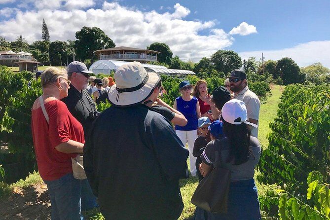 Ultimate Circle Island Explorer From Kona Or Kohala Resorts - What the Reviews Say