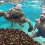 Ultimate Ocean Encounters Midday Snorkel - What to Expect During Snorkeling