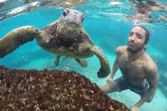 Ultimate Ocean Encounters Midday Snorkel - What to Expect During Snorkeling