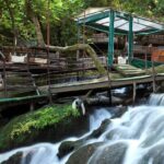 Ulupinar Fishing and Picnic Half-day Tour - A Deep Dive into the Experience