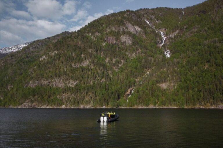 Ulvik adventure: Exploring Hardangerfjord's Osafjord by RIB - What Do the Reviews Say?