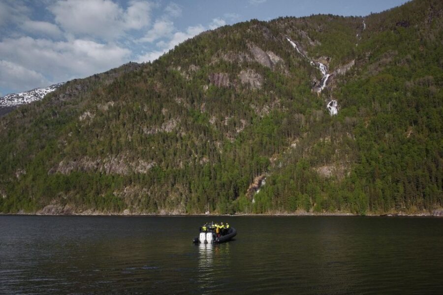 Ulvik adventure: Exploring Hardangerfjord's Osafjord by RIB - What Do the Reviews Say?