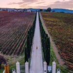 Umbria: Guided wine tasting ColSanto - Final Thoughts