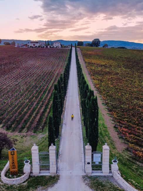 Umbria: Guided wine tasting ColSanto - Final Thoughts