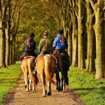 Umbria, Horseback riding in the Umbrian countryside with lunch - The Post-Ride Experience: Tasting Umbrian Flavors