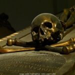 Underground 2.5h Tour with St. Stephens Cathedral Catacombs - The Experience for Different Travelers