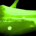 Underground Black Light Theatre Interactive Show in Prague - What’s Included and What’s Not