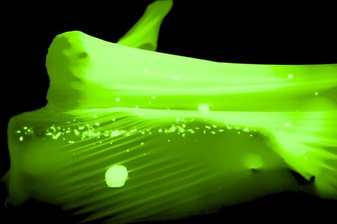 Underground Black Light Theatre Interactive Show in Prague - What’s Included and What’s Not