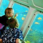 Undersea Expedition: Catalina Island Tour - Authentic Feedback from Travelers