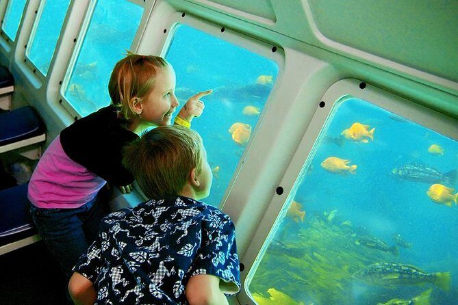 Undersea Expedition: Catalina Island Tour - Authentic Feedback from Travelers