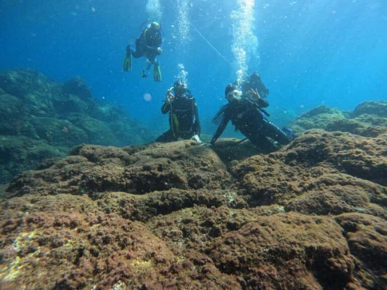 Underwater Archaeological Tour: Acicastello (CT) - The Practicalities and Logistics