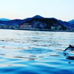 unforgettable boat excursion - Who Is This Tour Best For?