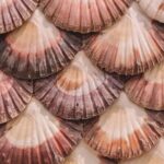 Unique Experience: Complete Tour of Rías Baixas and Isla da Toxa - Practical Considerations