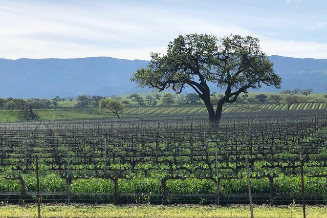Unique Santa Barbara Wine Country Private Wine Tours and Tastings - Final Thoughts